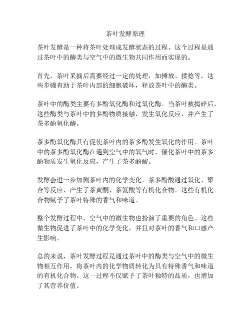 茶叶发酵原理