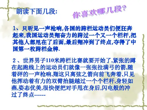 细节描写ppt课件