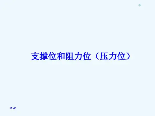 支撑位和压力位(PPT35页)