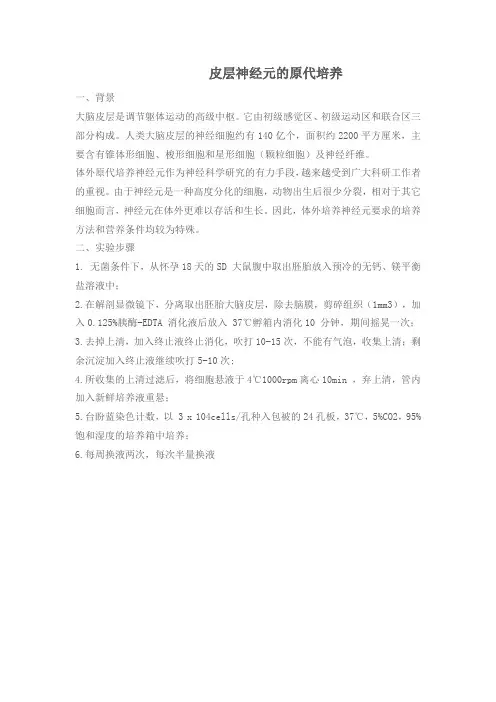 皮层神经元的原代培养