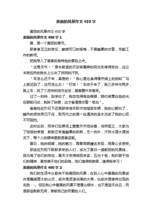 美丽的风景作文450字