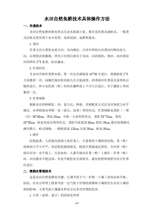 水田自然免耕技术具体操作方法