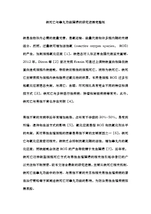 铁死亡与睾丸功能障碍的研究进展完整版