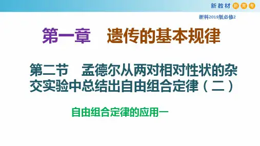 孟德尔从两对相对性状的杂交实验中总结出自由组合定律(第2课时)-高一生物下学期同步教学优质