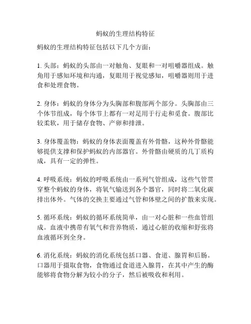 蚂蚁的生理结构特征