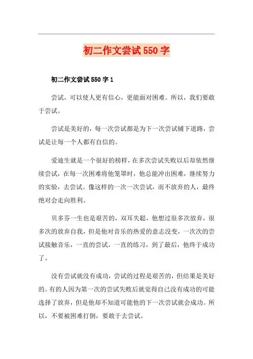 初二作文尝试550字