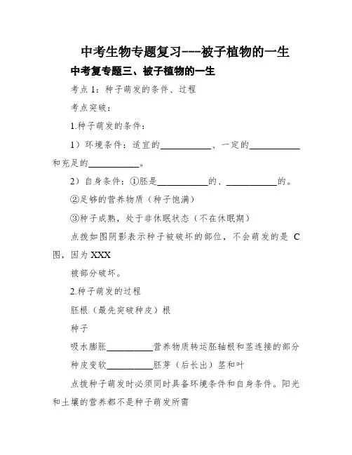 中考生物专题复习---被子植物的一生