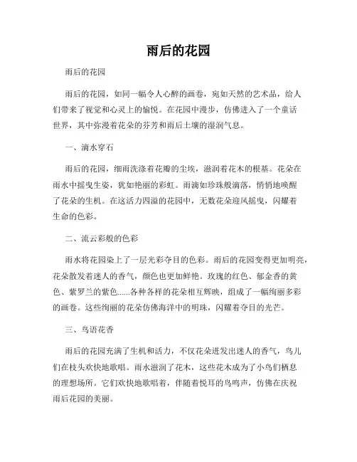 雨后的花园 