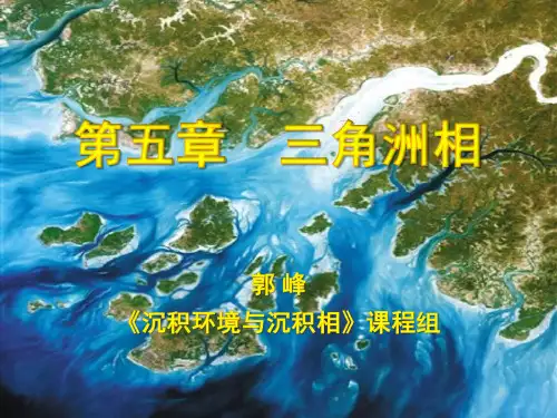第5章-三角洲相