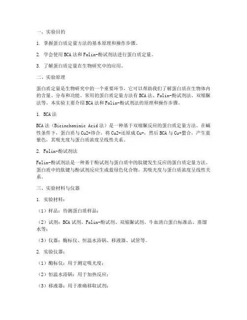 蛋白质定量法实验报告