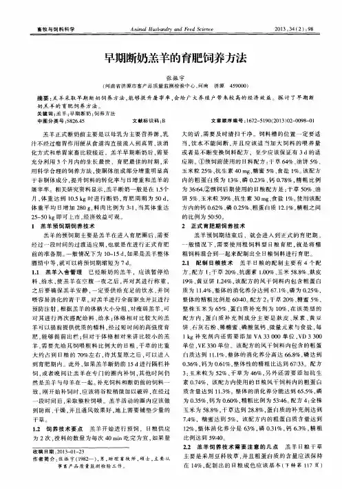 早期断奶羔羊的育肥饲养方法