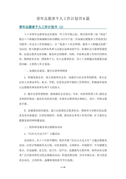 青年志愿者个人工作计划书6篇