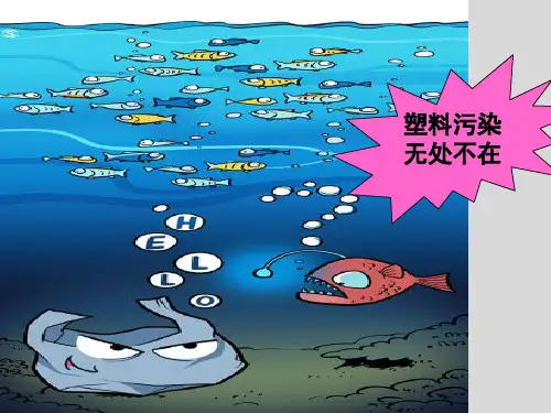高中英语最新阅读作文新闻素材课件《塑料污染无处不在》