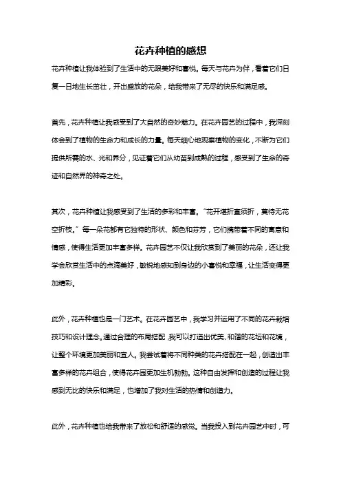 花卉种植的感想