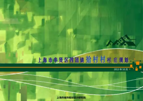 上海市奉贤区四团镇拾村村村庄规划