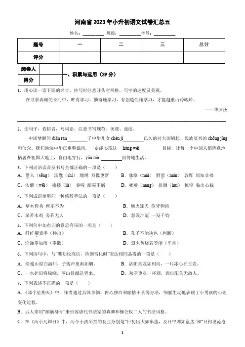 河南省2023年小升初语文试卷汇总五(含答案)