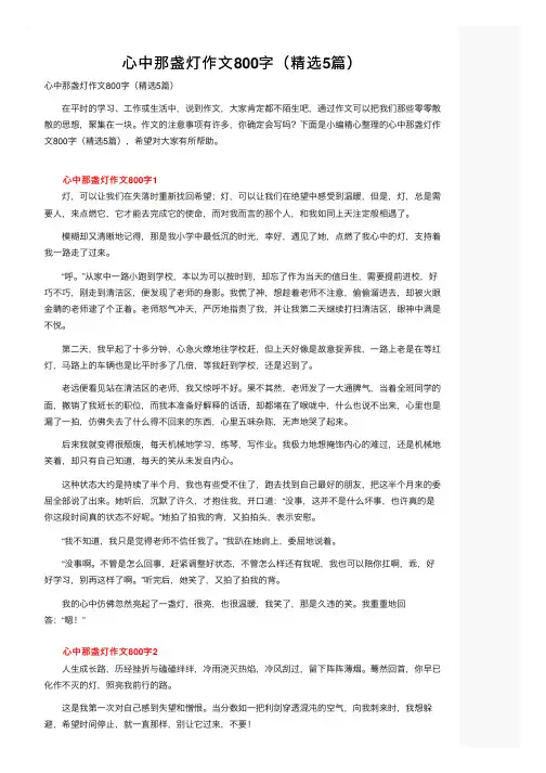 心中那盏灯作文800字（精选5篇）