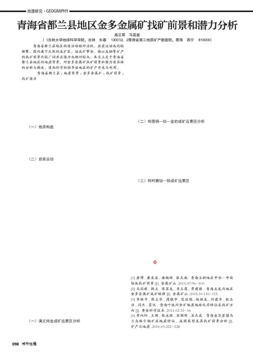青海省都兰县地区金多金属矿找矿前景和潜力分析