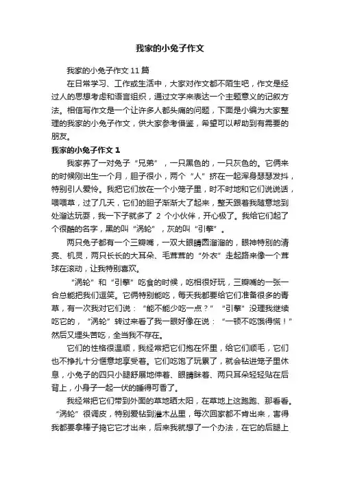 我家的小兔子作文11篇