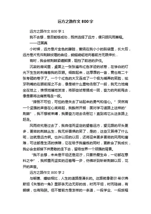 远方之路作文800字