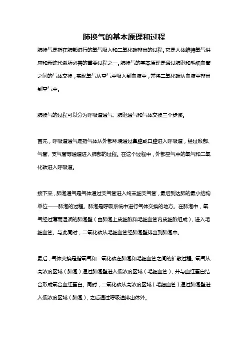 肺换气的基本原理和过程