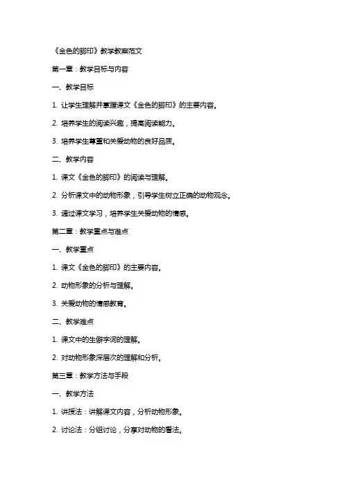《金色的脚印》教学教案范文