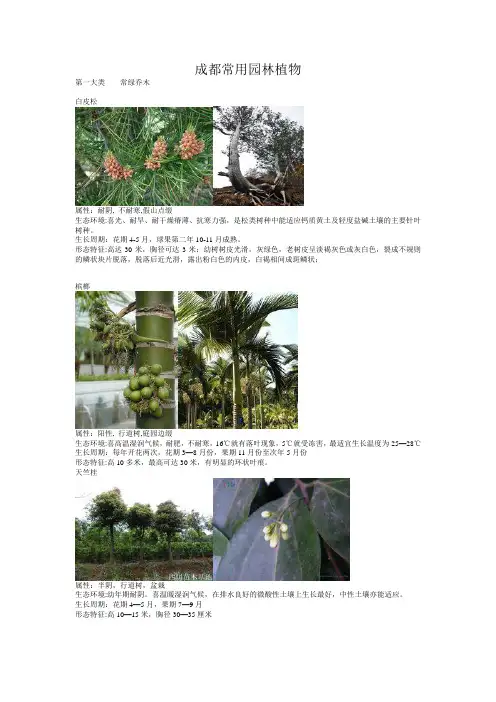 成都常用植物分析