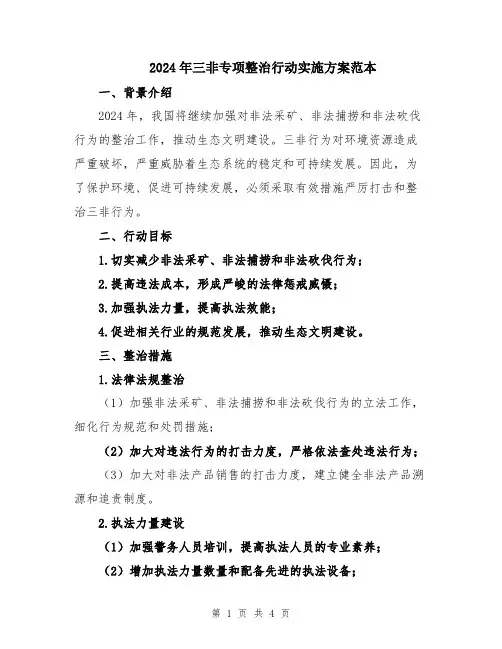 2024年三非专项整治行动实施方案范本
