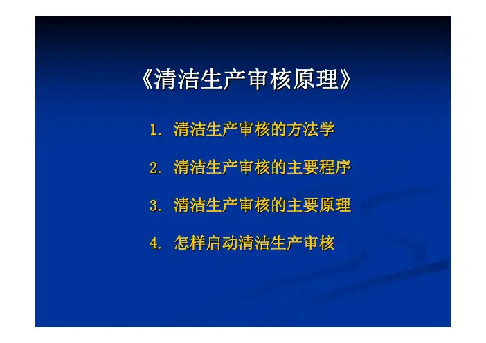 清洁生产审核原理