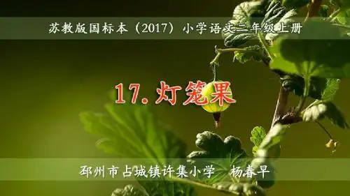 灯笼果教学课件苏教版语文2017二年级上册第17课《灯笼果》公开课PPT杨春早