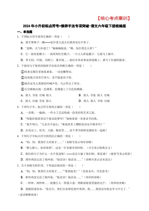 2024年小升初【核心考点集训】标点符号+修辞手法专项突破-(含答案)
