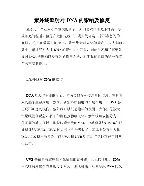 紫外线照射对DNA的影响及修复