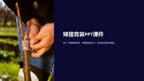 《嫁接育苗》课件
