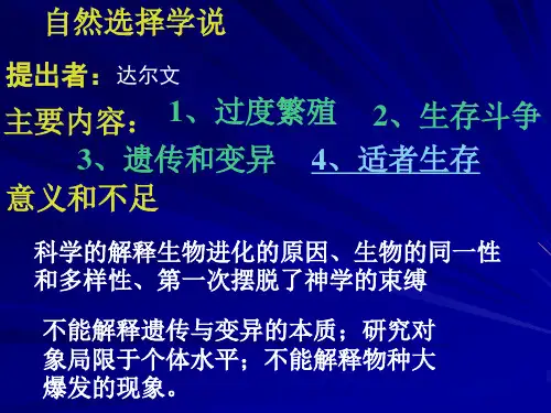 现代生物进化理论的主要内容ppt.pptx