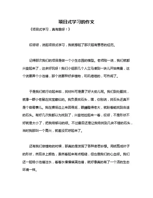 项目式学习的作文