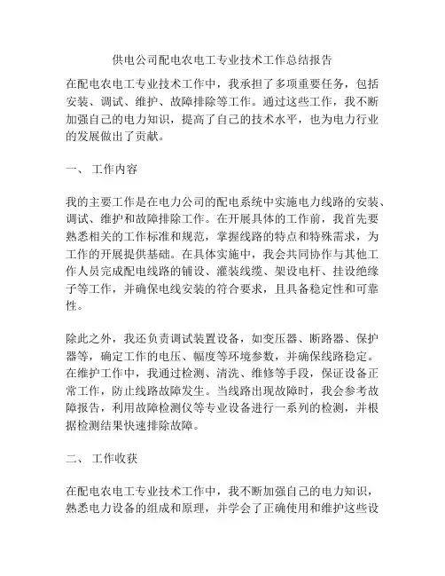 供电公司配电农电工专业技术工作总结报告