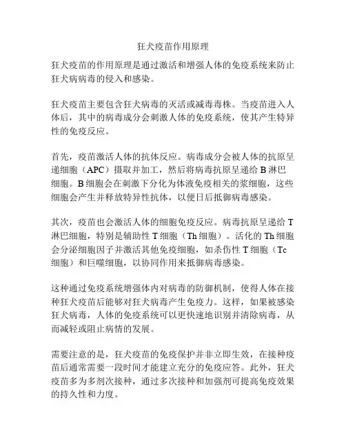 狂犬疫苗作用原理