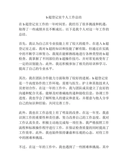 b超登记室个人工作总结