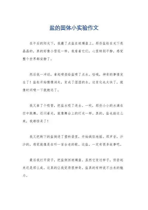 盐的固体小实验作文