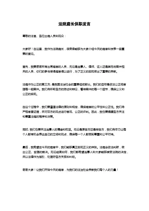 法院庭长供职发言