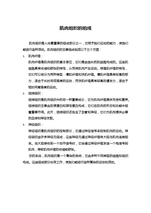 肌肉组织组成