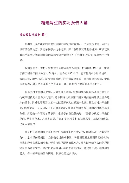 精选写生的实习报告3篇