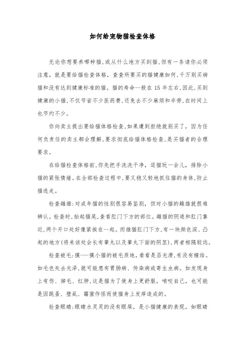 如何给宠物猫检查体格