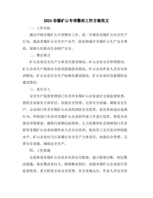 2024非煤矿山专项整治工作方案范文