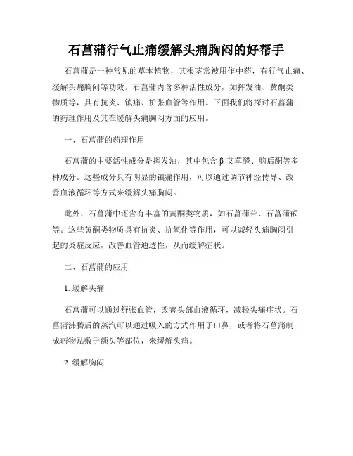 石菖蒲行气止痛缓解头痛胸闷的好帮手