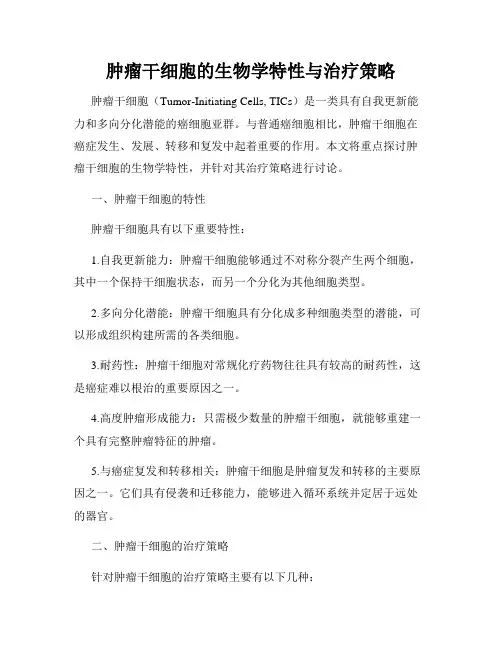 肿瘤干细胞的生物学特性与治疗策略