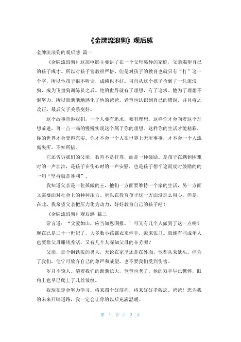 《金牌流浪狗》观后感