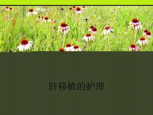 肝移植护理ppt课件