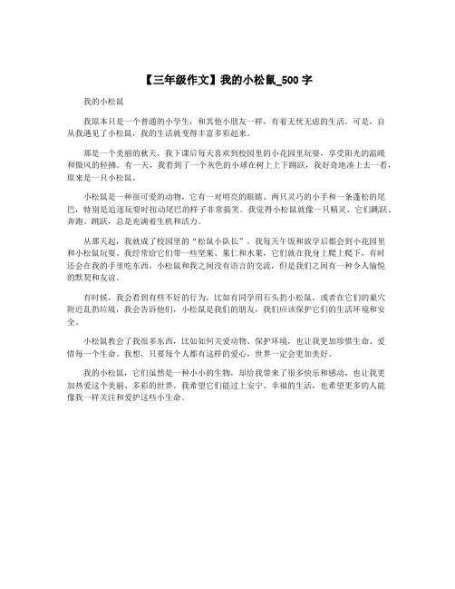 【三年级作文】我的小松鼠_500字