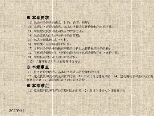 工程经济学 工程项目财务评价